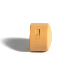 High Quality PPR Fitting End Cap