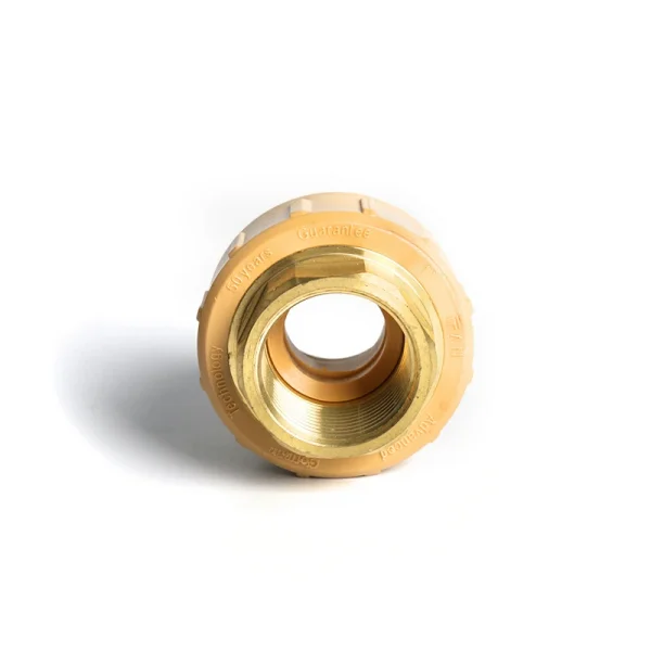 High Quality Hot Sale PPR Pipe Fitting Male&Female Socket - Image 2